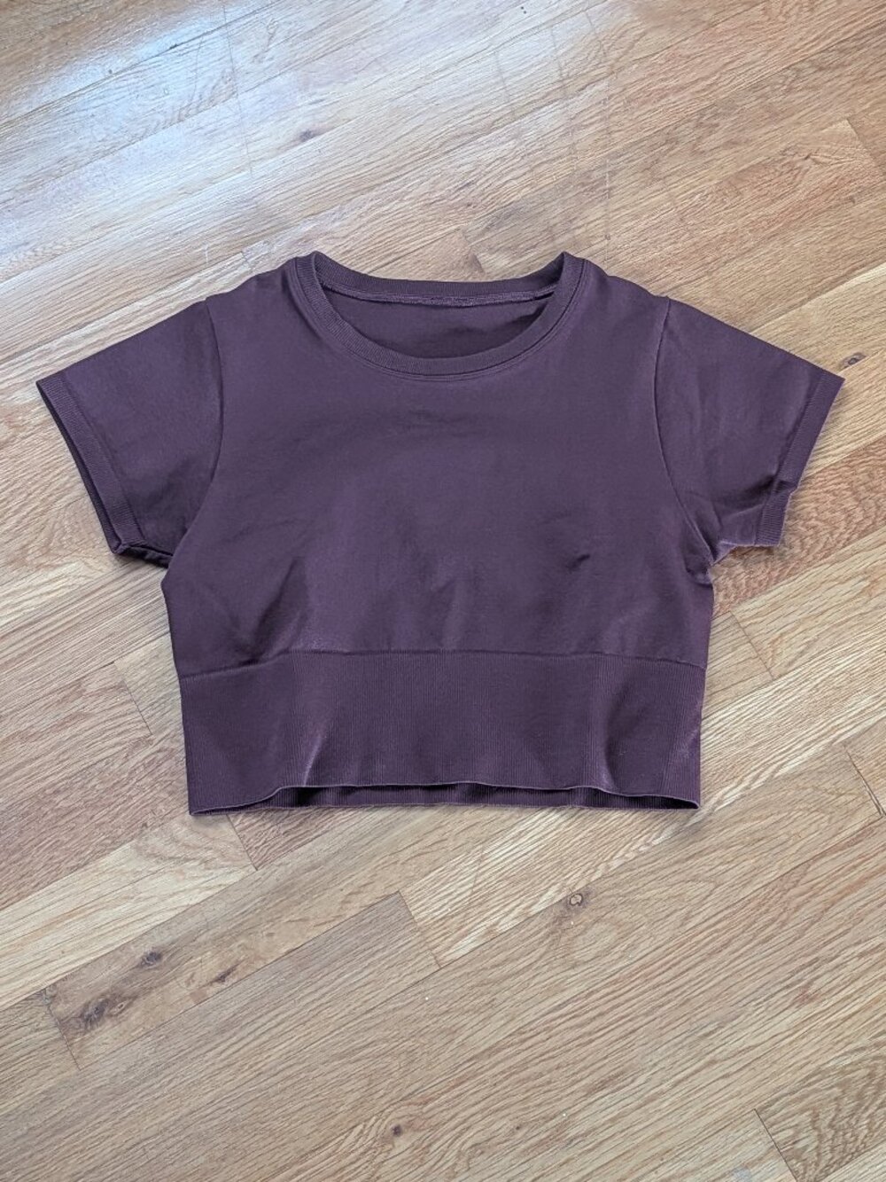 Aerie offline sidewalk seamless cropped tshirt